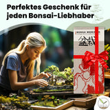 Bonsai Werkzeug-Set Profi 4-teilig aus Stahl mit praktischer Aufbewahrungstasche