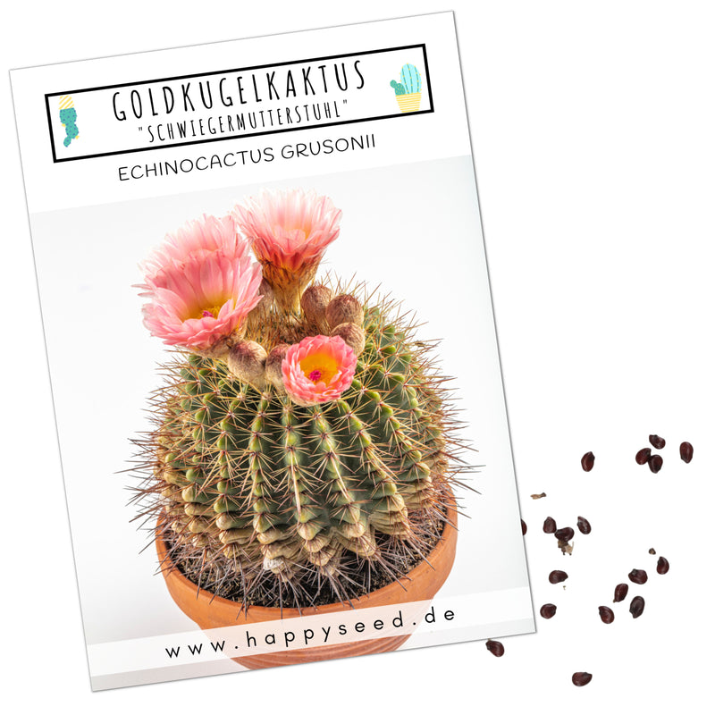 Außergewöhnliche Kakteen Samen mit hoher Keimrate -  Goldkugelkaktus (Echinocactus Grusonii) - HappySeed