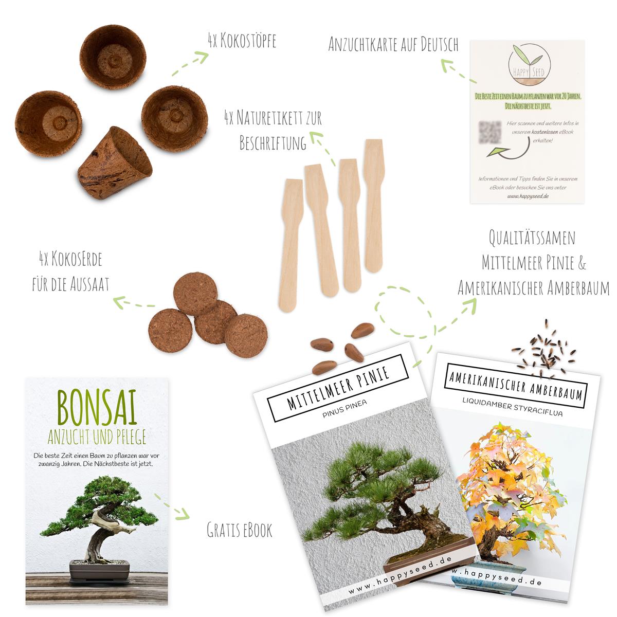 Bonsai Starter Kit inkl. eBook