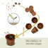 Bonsai Starter Kit inkl. eBook - Pflanzset aus Kokostöpfen, Samen & Erde  (Zwerg-Granatapfel + Tamarinde) - HappySeed