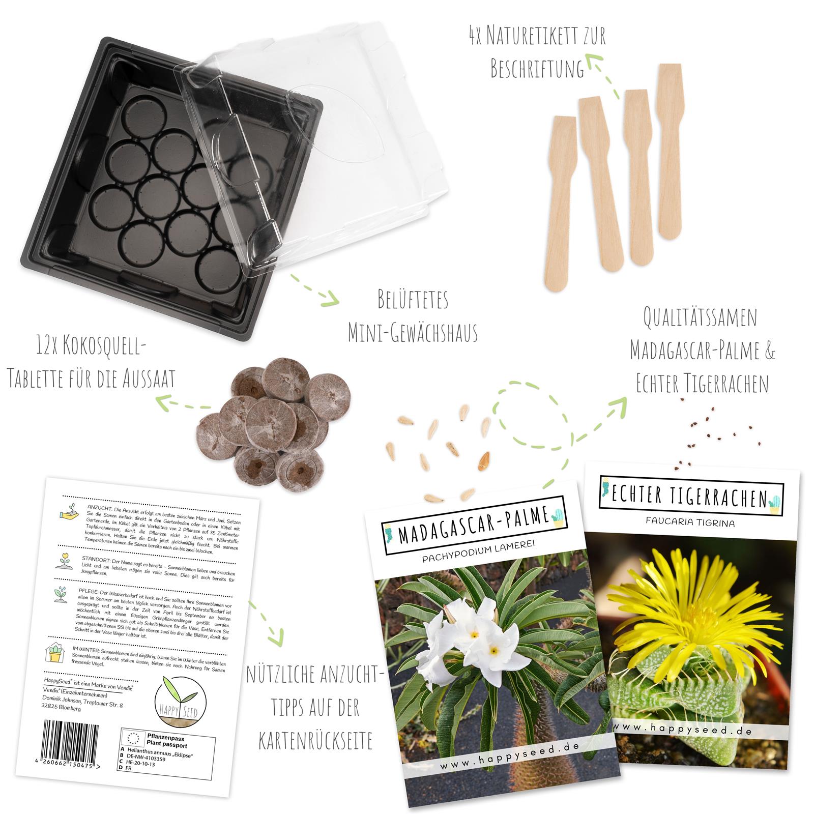 Kakteen Anzuchtset mit Mini-Gewächshaus, Kaktus Samen & Erde – HappySeed