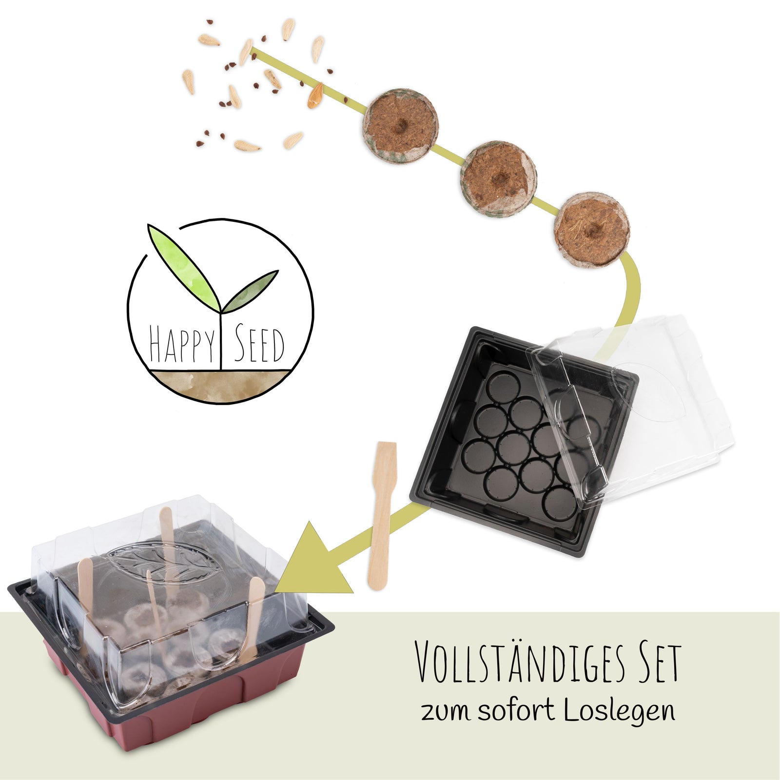 Kakteen Anzuchtset mit Mini-Gewächshaus, Kaktus Samen & Erde – HappySeed