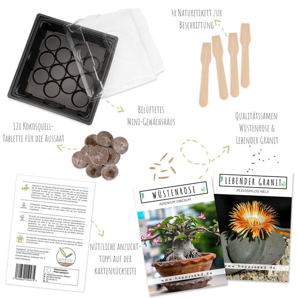 Kakteen Starter Kit - Mini-Gewächshaus, Erde & Samen (Wüstenrose + Lebender Granit) - HappySeed