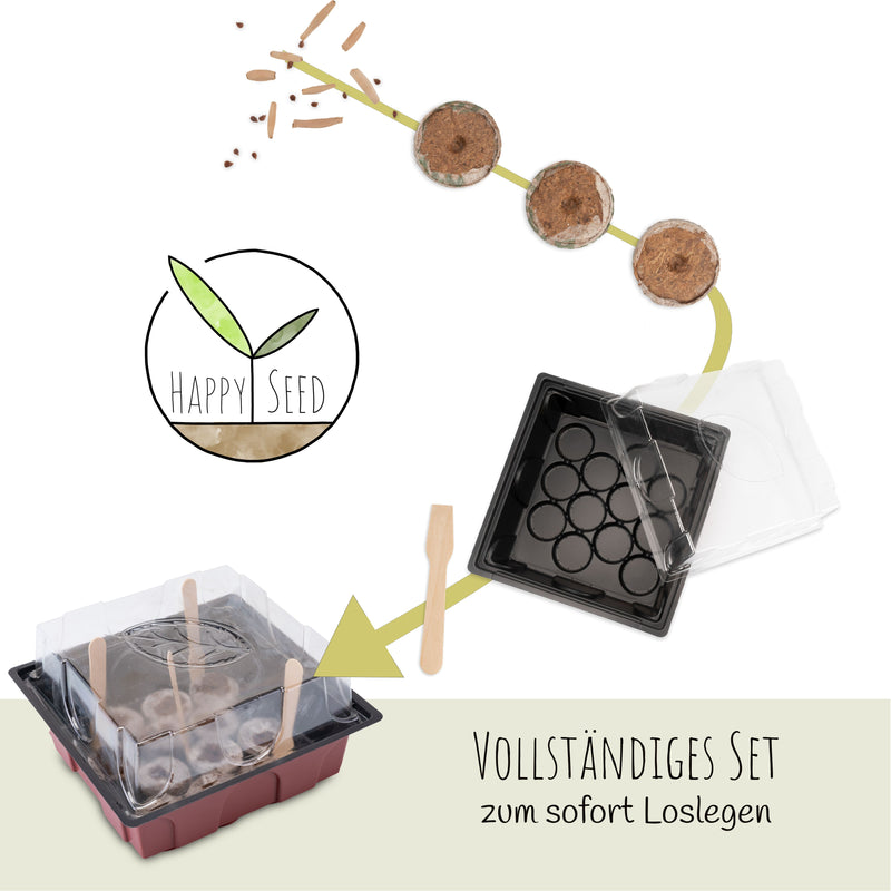 Kakteen Starter Kit - Mini-Gewächshaus, Erde & Samen (Wüstenrose + Lebender Granit) - HappySeed