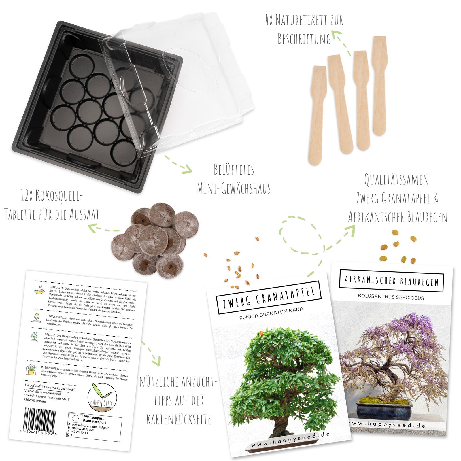 Bonsai Starter Kit Afrikanischer Blauregen