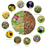 Blumenwiese Samen für eine bunte Bienenweide - Farbenfrohe Wildblumensamen (inkl. GRATIS eBook) - HappySeed