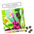 Kenia Bananen Samen - Musa velutina - HappySeed