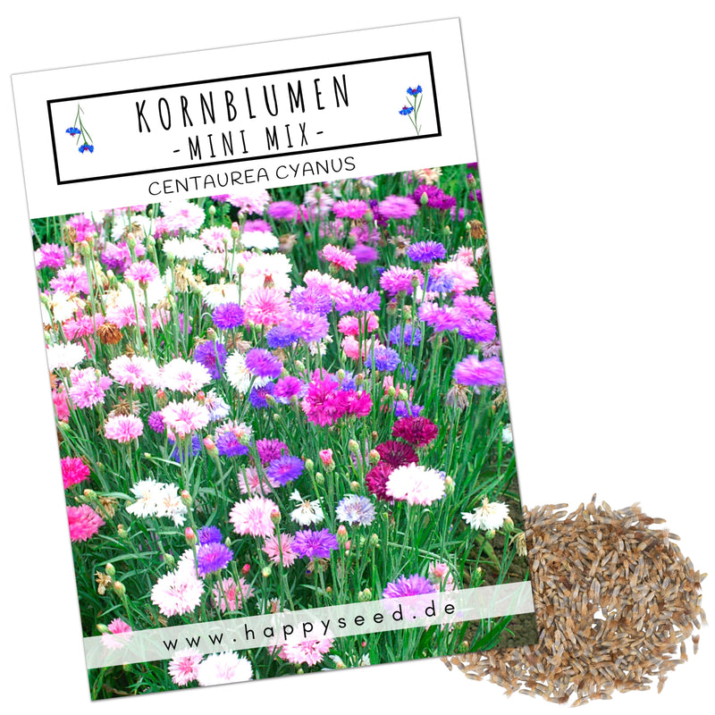 Kornblumen Samen (Centaurea cyanus) - Mini Mix, 1000 Korn, 50 cm