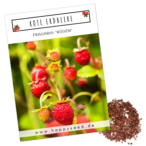 Erdbeeren Samen