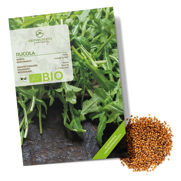 rucola saatgut gewinnen BIO Rucola Samen (Diplotaxis tenuifolia)