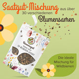 Premium Wildblumensamen für eine bunte Blumenwiese - Farbenfroh & nektarreich Blumensamen