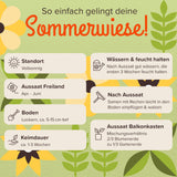 Premium Wildblumensamen für eine bunte Blumenwiese - Farbenfroh & nektarreich Blumensamen