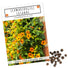 Schwarzäugige Susanne - Thunbergia alata - HappySeed