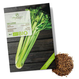 BIO Selleriesamen (Tall Utah) - Staudensellerie Saatgut aus biologischem Anbau (250 Korn) - HappySeed