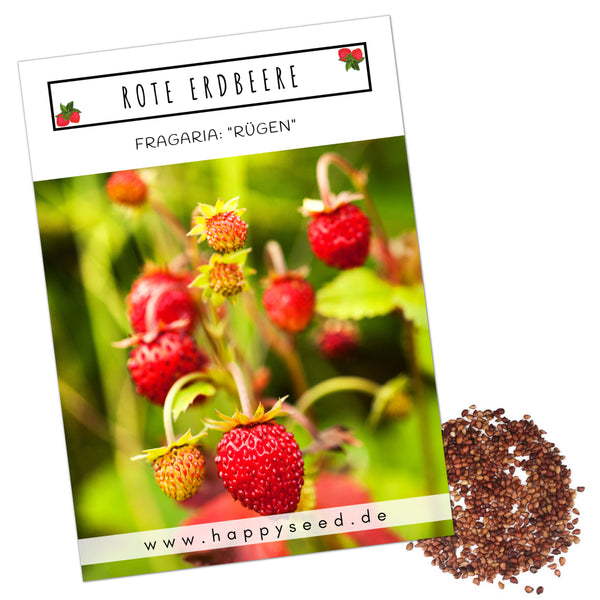 Erdbeeren Samen - Fragaria - HappySeed