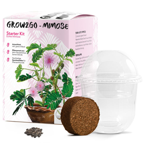 GROW2GO Mimose Starter Kit - Pflanzset aus Mini-Gewächshaus, Mimose Samen &amp; Erde - HappySeed