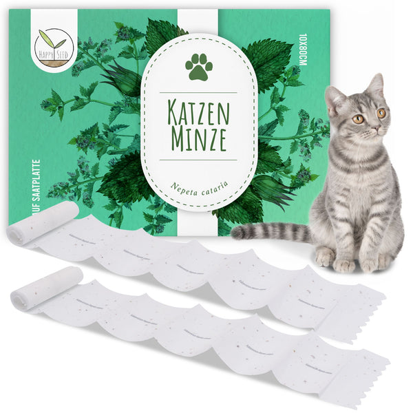Katzenminze Samen Saatband 80 x 10 cm - Nepeta cataria - HappySeed