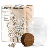 GROW2GO Baumwoll-Pflanzset ideal zur Baumwollhochzeit - Mini-Gewächshaus, Baumwollsamen &amp; Erde - HappySeed