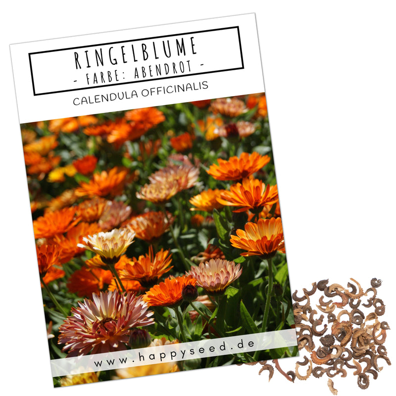 Ringelblumen Samen - Calendula Officinalis (Abendrot) - HappySeed