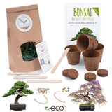 Bonsai Starter Kit inkl. eBook - Pflanzset aus Kokostöpfen, Samen &amp; Erde (Afrikanischer Blauregen + Australische Kiefer) - HappySeed