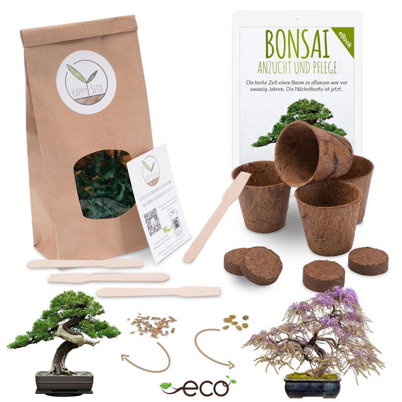 Bonsai Starter Kit inkl. eBook - Pflanzset aus Kokostöpfen, Samen &amp; Erde (Afrikanischer Blauregen + Australische Kiefer) - HappySeed