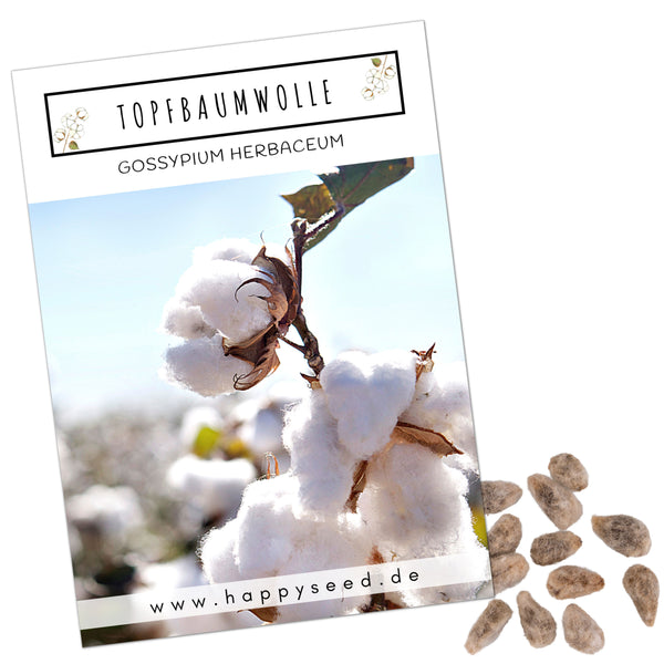 Topfbaumwoll Samen - Gossypium Herbaceum - HappySeed