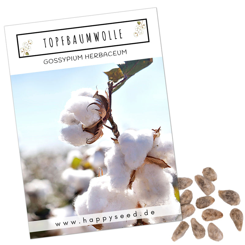Topfbaumwoll Samen - Gossypium Herbaceum - HappySeed