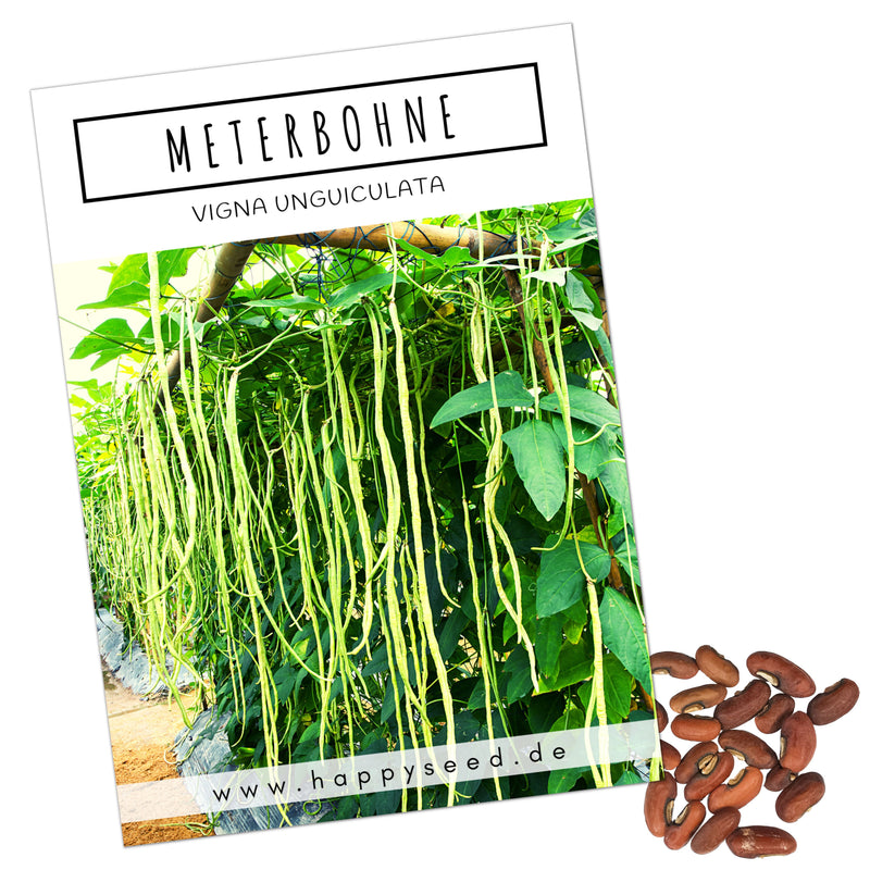 Meterbohne Samen - Vigna unguiculata - HappySeed