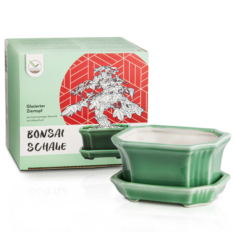 Bonsai Schale aus Keramik mit Untersetzer in Jadegrün - 11 x 6,5 x 9 cm - HappySeed