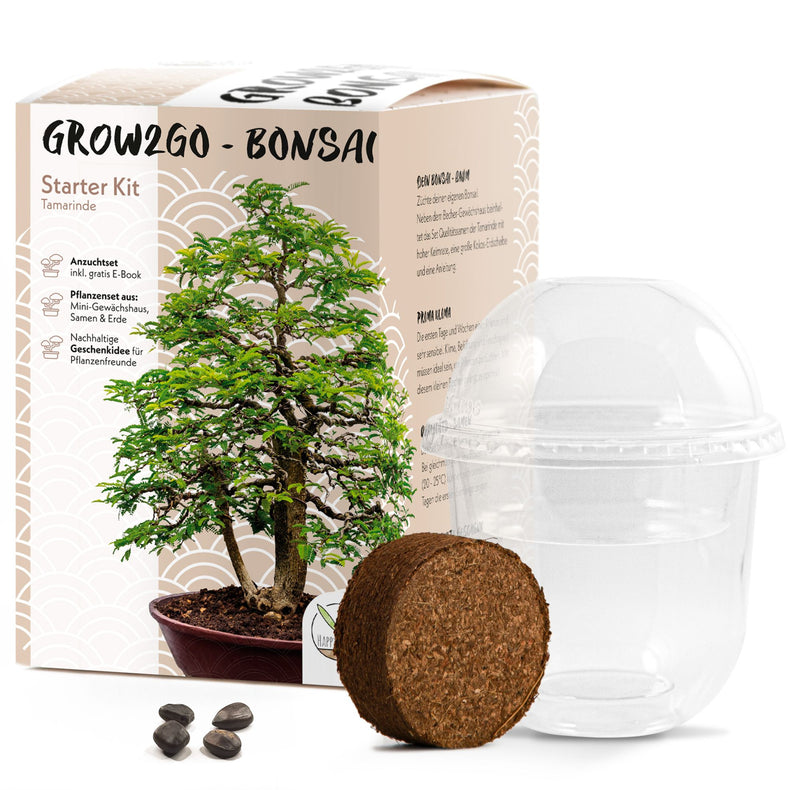 GROW2GO Bonsai Starter Kit inkl. GRATIS eBook - Tamarinde - HappySeed