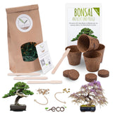 Bonsai Starter Kit inkl. eBook - Pflanzset aus Kokostöpfen, Samen & Erde (Afrikanischer Blauregen + Australische Kiefer) - HappySeed