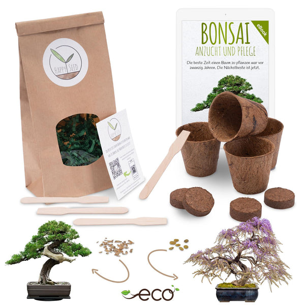 Bonsai Starter Kit inkl. eBook - Pflanzset aus Kokostöpfen, Samen & Erde (Afrikanischer Blauregen + Australische Kiefer) - HappySeed