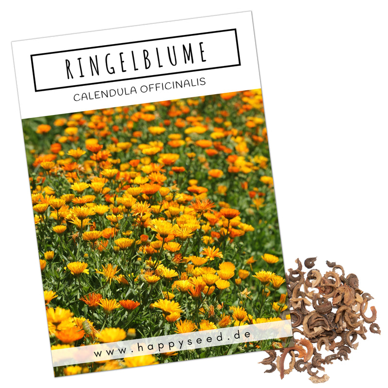 Ringelblumen Samen - Calendula Officinalis (Gelb/Orange) - HappySeed