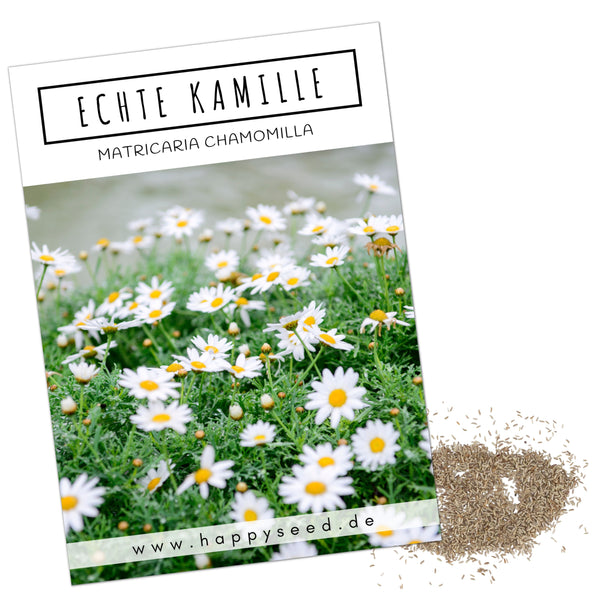 Echte Kamille Samen - Matricaria chamomilla - HappySeed