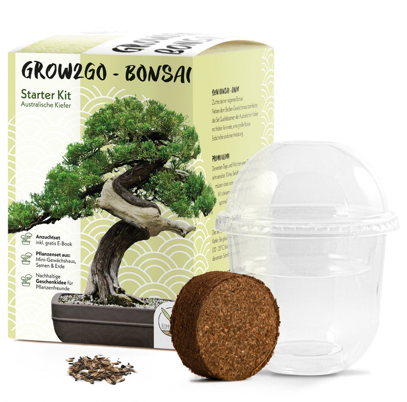GROW2GO Bonsai Starter Kit inkl. GRATIS eBook - Australische Kiefer - HappySeed