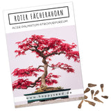 Roter Fächerahorn Samen - Acer palmatum atropurpureum (Bonsai) - HappySeed