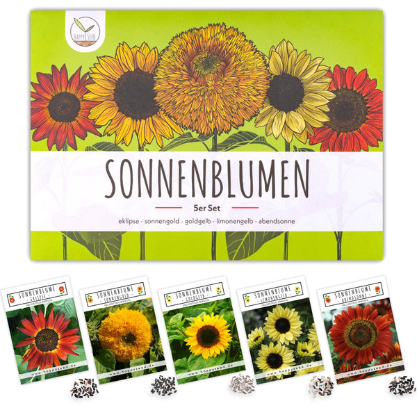 Farbenfrohe Sonnenblumen Samen mit hoher Keimrate - 5er Set - HappySeed