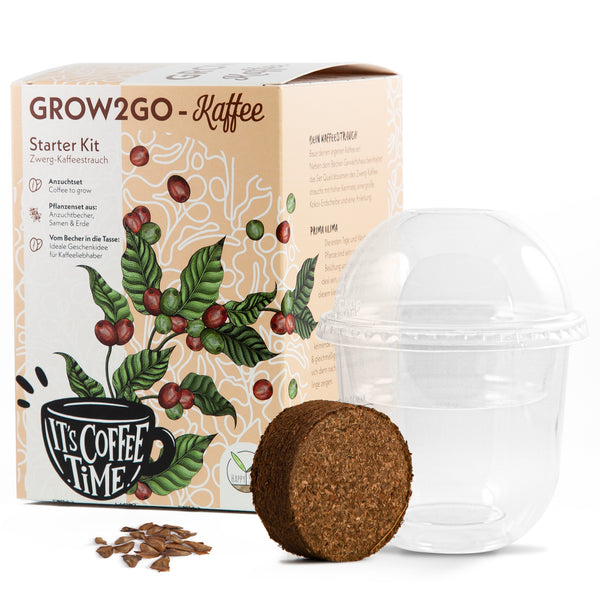 GROW2GO Zwergkaffee Strauch Set zum selber Pflanzen