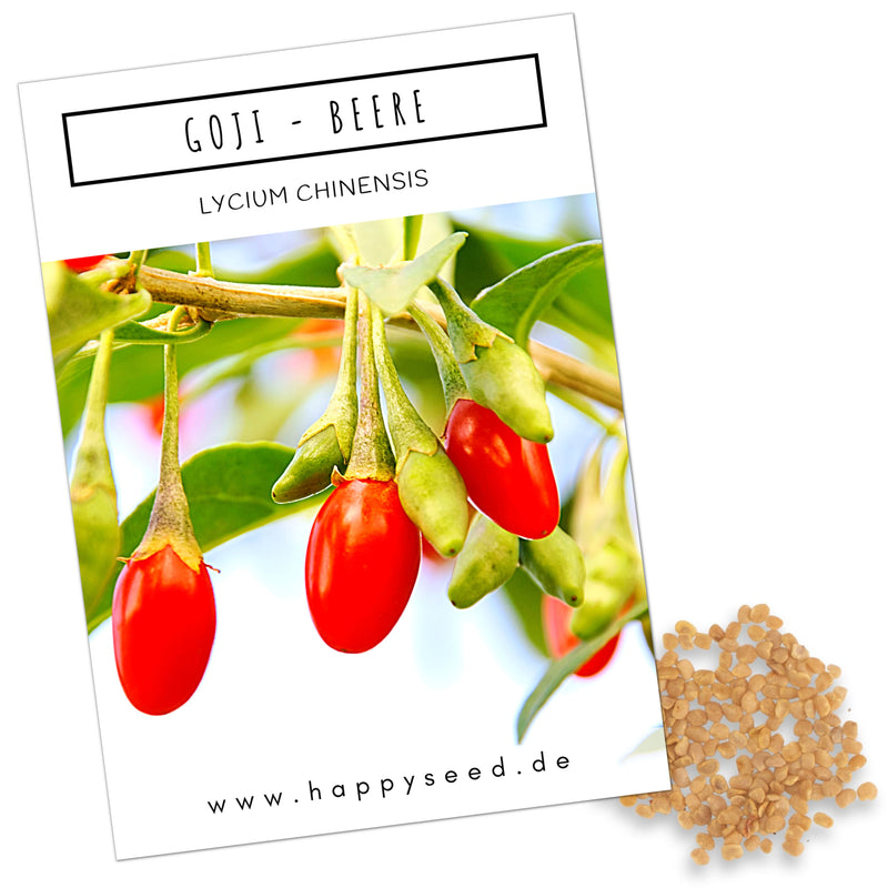 Goji Beeren Samen - Lycium chinense - HappySeed