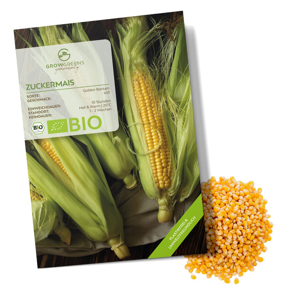 BIO Zuckermais Samen (Golden Bantam) - Mais Saatgut aus biologischem Anbau (30 Korn) - HappySeed