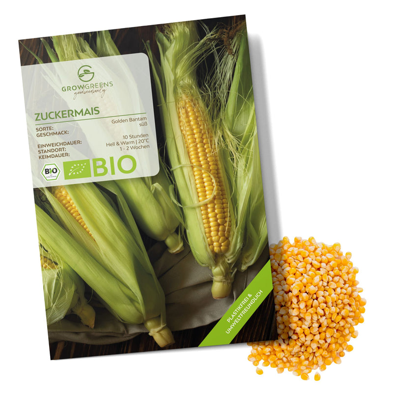 BIO Zuckermais Samen (Golden Bantam) - Mais Saatgut aus biologischem Anbau (30 Korn) - HappySeed