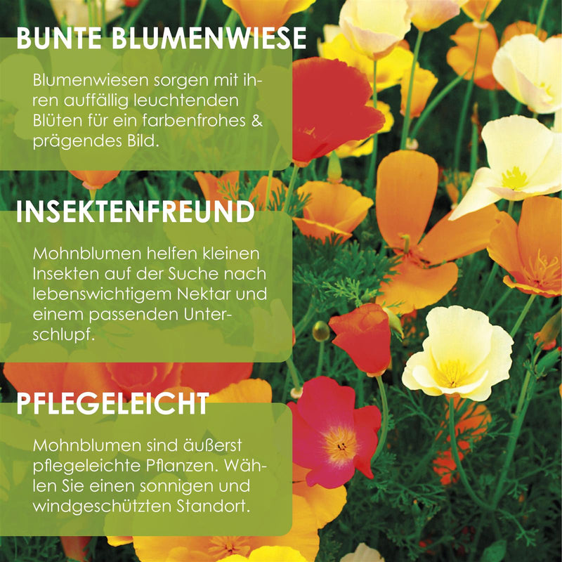 Kalifornischer Mohn Samen - Eschscholzia californica (Mix) - HappySeed