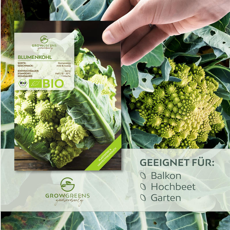 BIO Blumenkohl Samen (Romanesco) - Blumenkohl Saatgut aus biologischem Anbau (50 Korn) - HappySeed