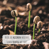 Kaffee Samen - Coffea arabica nana - HappySeed