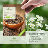 BIO Kümmelsamen - Küchenkräuter Saatgut aus biologischem Anbau (400 Korn) - HappySeed