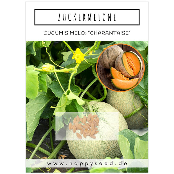 Zuckermelone Samen - Cucurbita melo - HappySeed