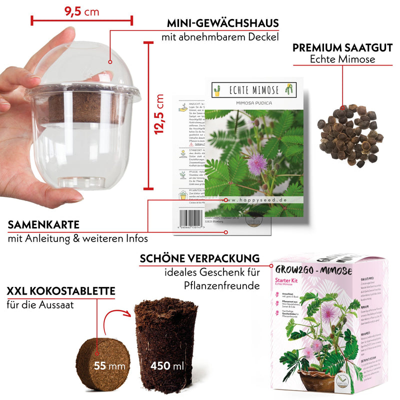 GROW2GO Mimose Starter Kit - Pflanzset aus Mini-Gewächshaus, Mimose Samen &amp; Erde - HappySeed