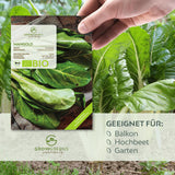 BIO Mangold Samen (Schweizer) - Mangold Saatgut aus biologischem Anbau (75 Korn) - HappySeed
