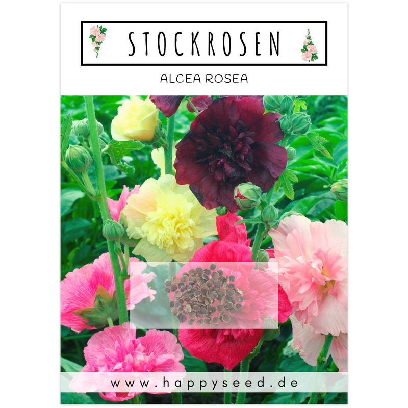 Stockrosen Samen - Alcea Rosea (Mix) - HappySeed