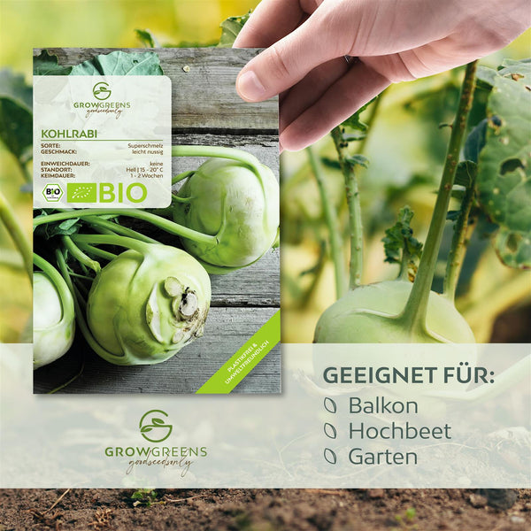 BIO Kohlrabi Samen (Superschmelz) - Kohlrabi Saatgut aus biologischem Anbau (20 Korn) - HappySeed